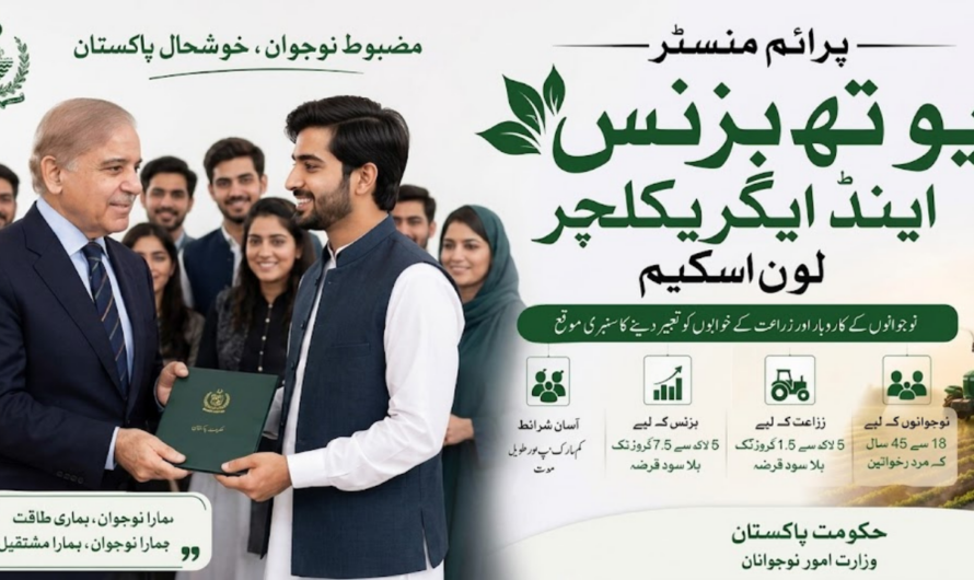 Prime Minister’s Youth Business & Agriculture Loan Scheme: A Complete Guide to SME Financing